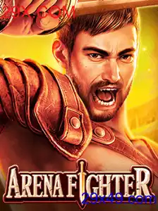 Descubra o Desafiador Universo de ArenaFighter em 29X.COM